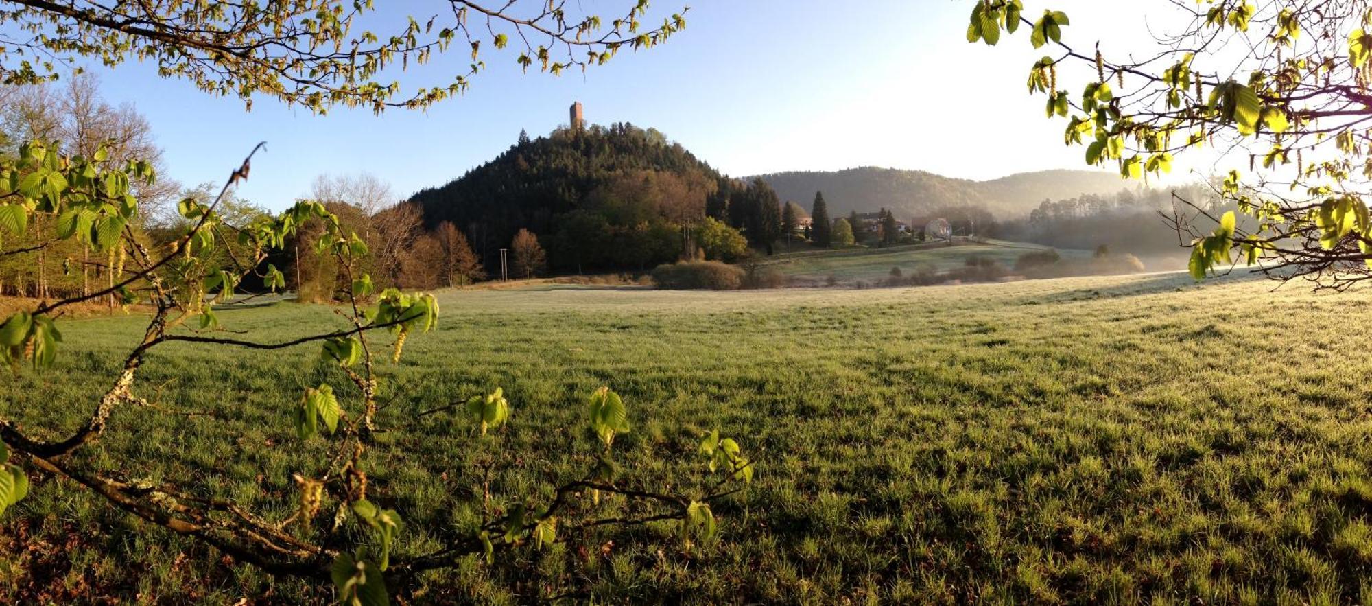 Le Gite De L'Ecureuil Sturzelbronn Bagian luar foto