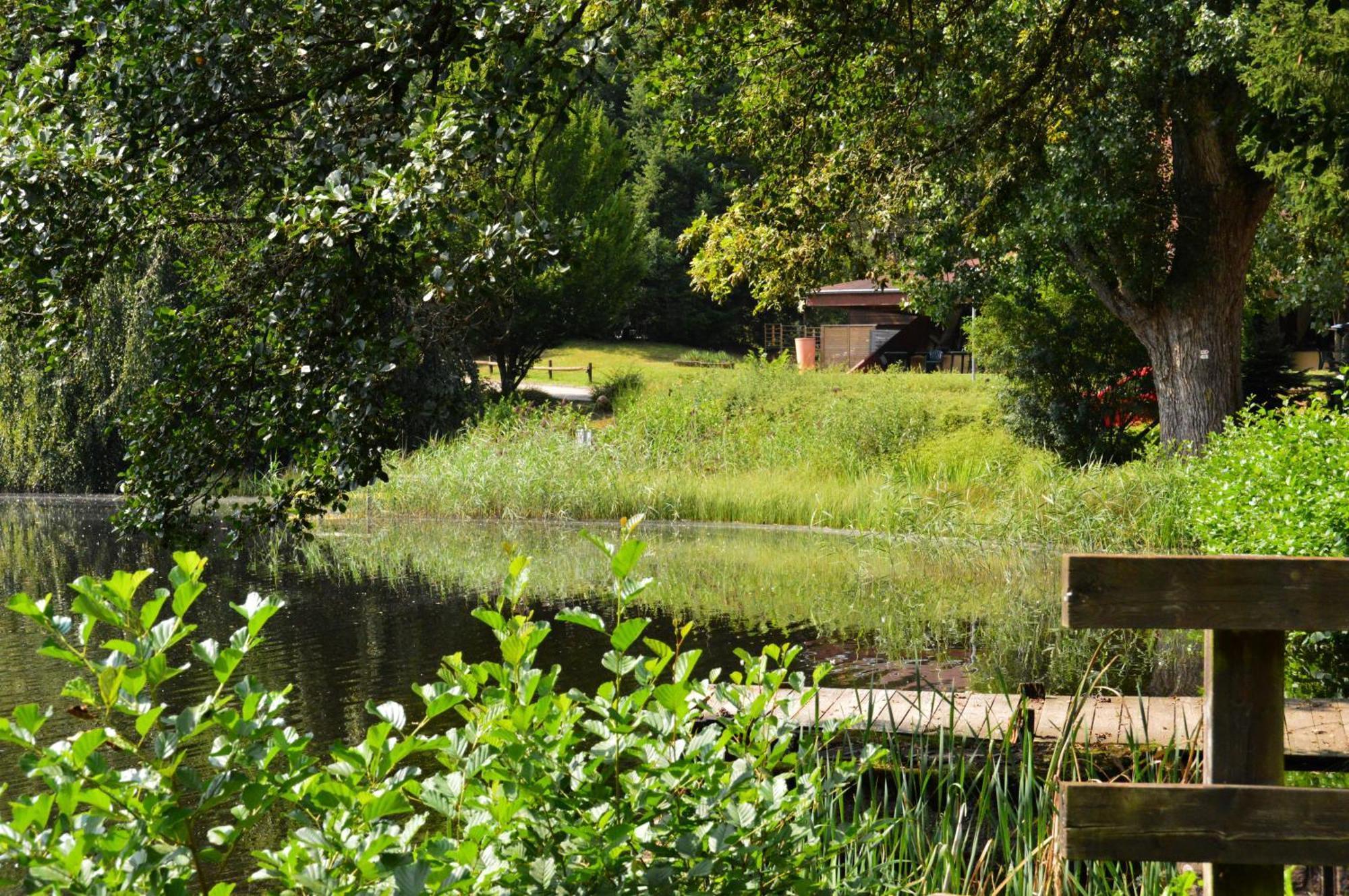 Le Gite De L'Ecureuil Sturzelbronn Bagian luar foto