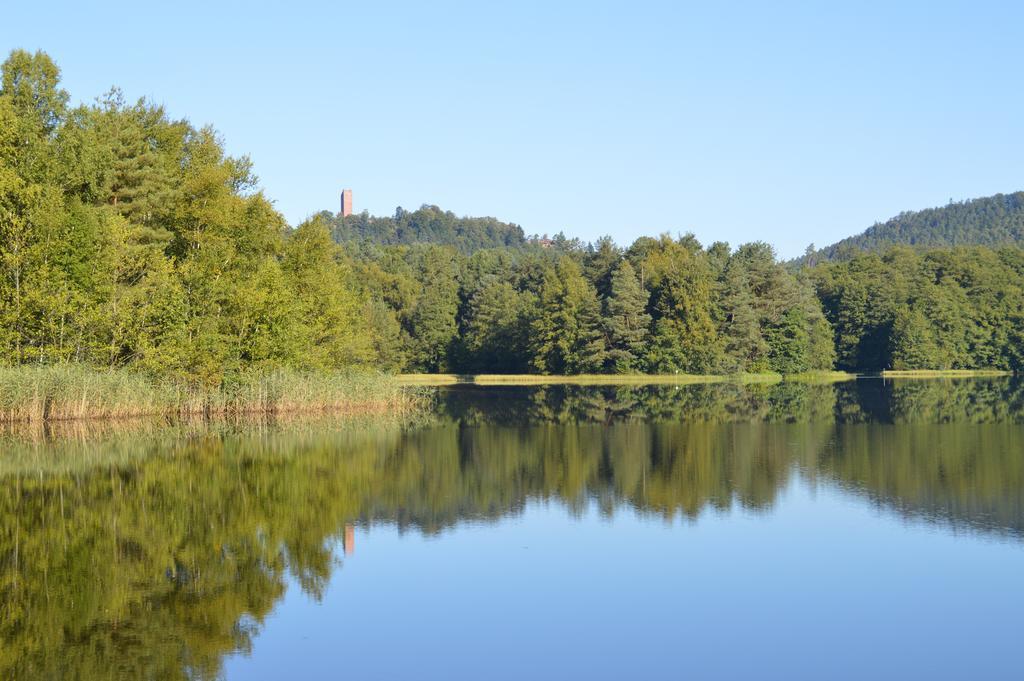 Le Gite De L'Ecureuil Sturzelbronn Bagian luar foto