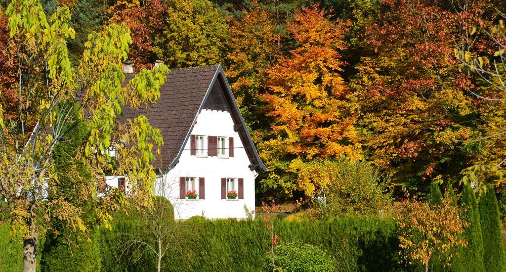 Le Gite De L'Ecureuil Sturzelbronn Bagian luar foto