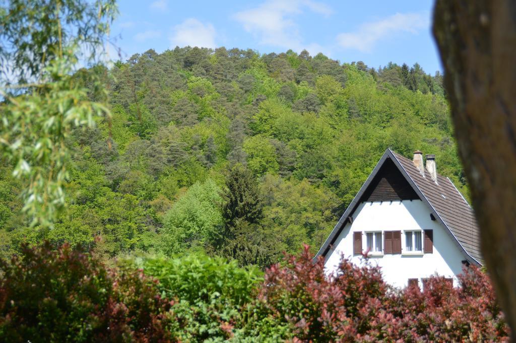 Le Gite De L'Ecureuil Sturzelbronn Bagian luar foto