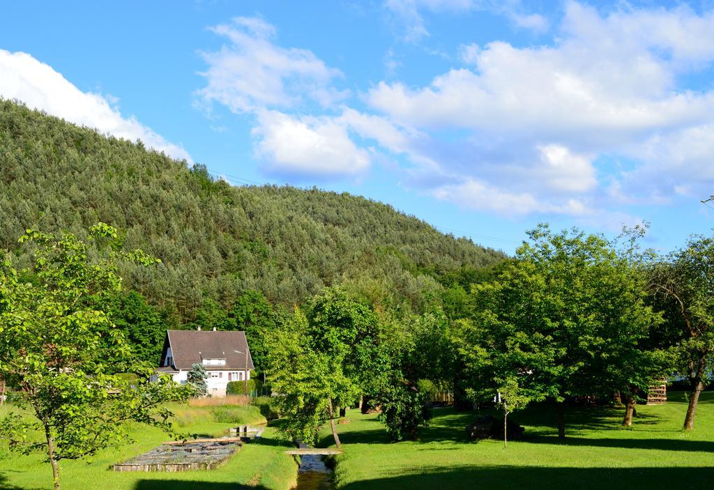 Le Gite De L'Ecureuil Sturzelbronn Bagian luar foto