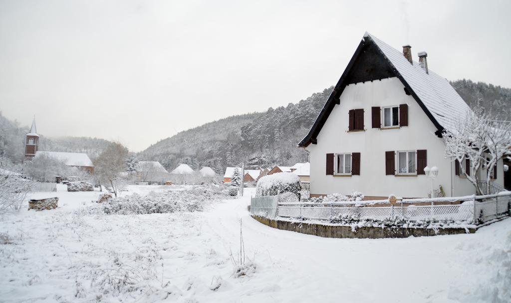 Le Gite De L'Ecureuil Sturzelbronn Bagian luar foto