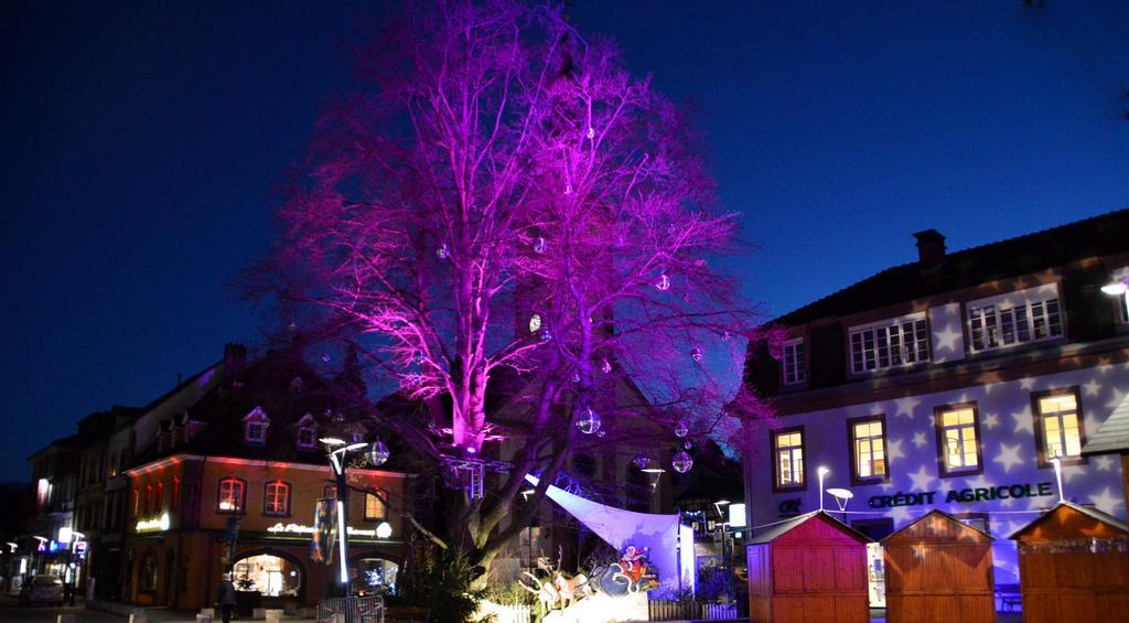 Le Gite De L'Ecureuil Sturzelbronn Bagian luar foto
