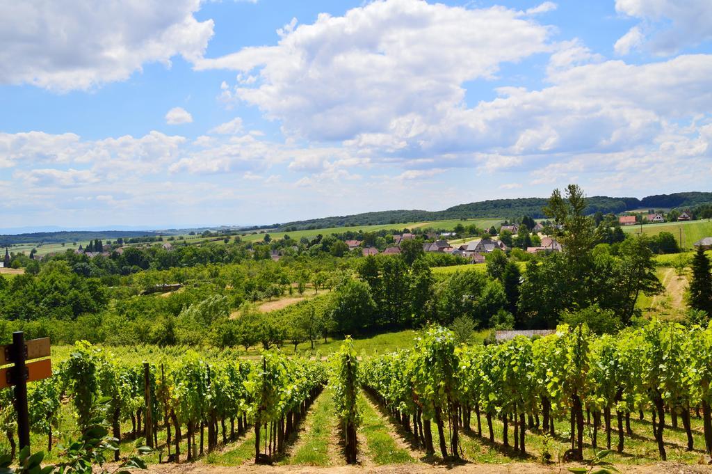 Le Gite De L'Ecureuil Sturzelbronn Bagian luar foto