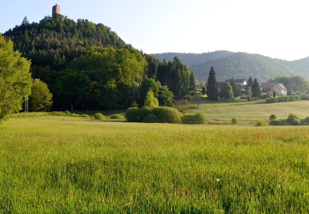 Le Gite De L'Ecureuil Sturzelbronn Bagian luar foto