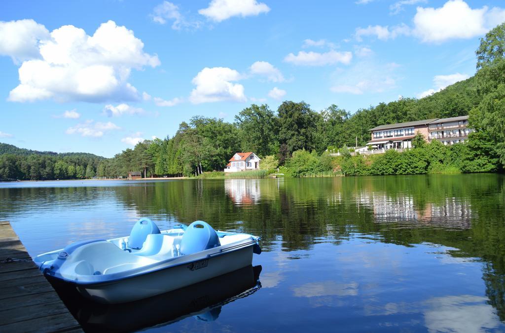 Le Gite De L'Ecureuil Sturzelbronn Bagian luar foto
