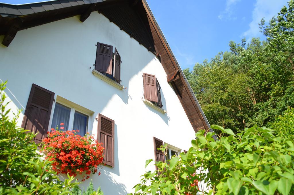 Le Gite De L'Ecureuil Sturzelbronn Bagian luar foto