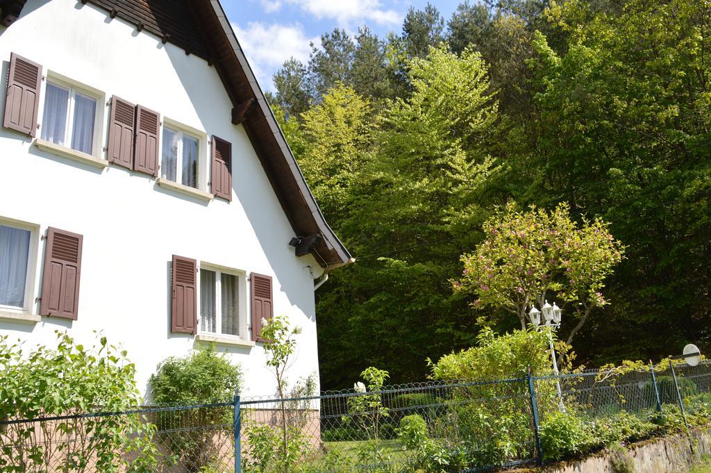 Le Gite De L'Ecureuil Sturzelbronn Bagian luar foto