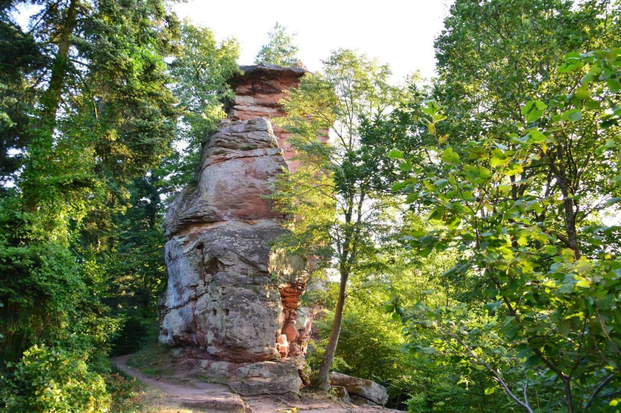 Le Gite De L'Ecureuil Sturzelbronn Bagian luar foto