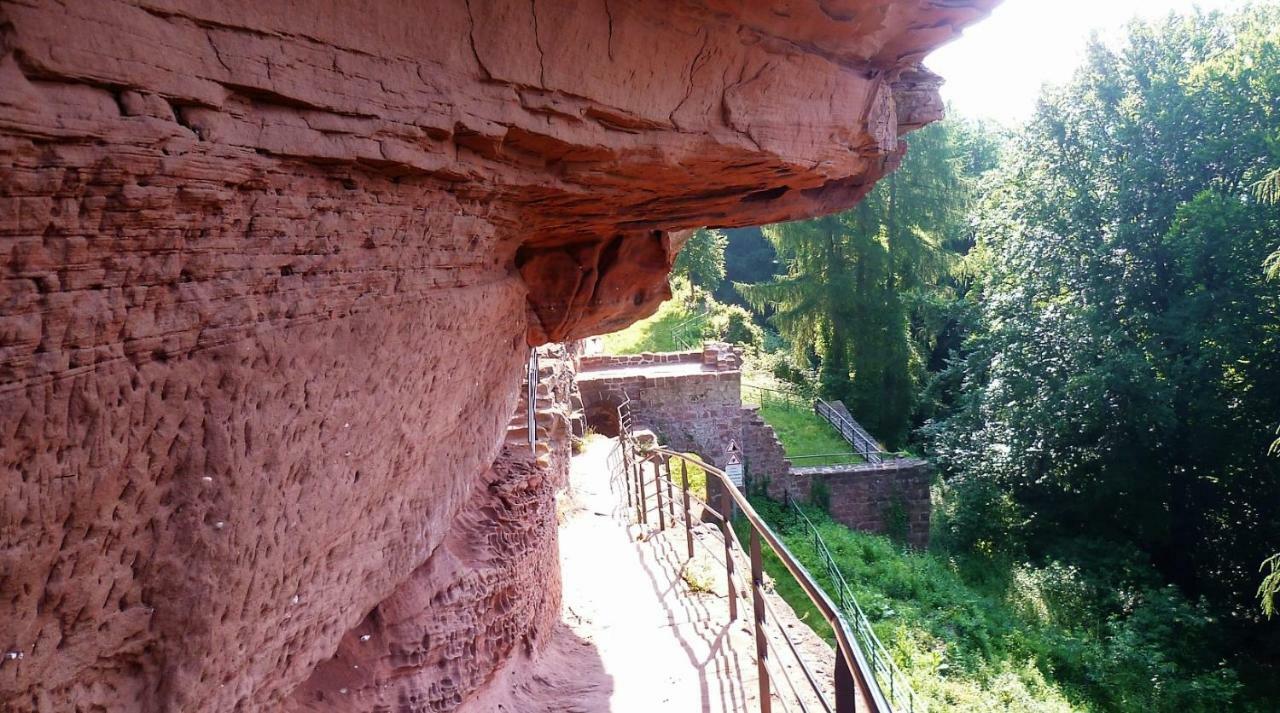 Le Gite De L'Ecureuil Sturzelbronn Bagian luar foto